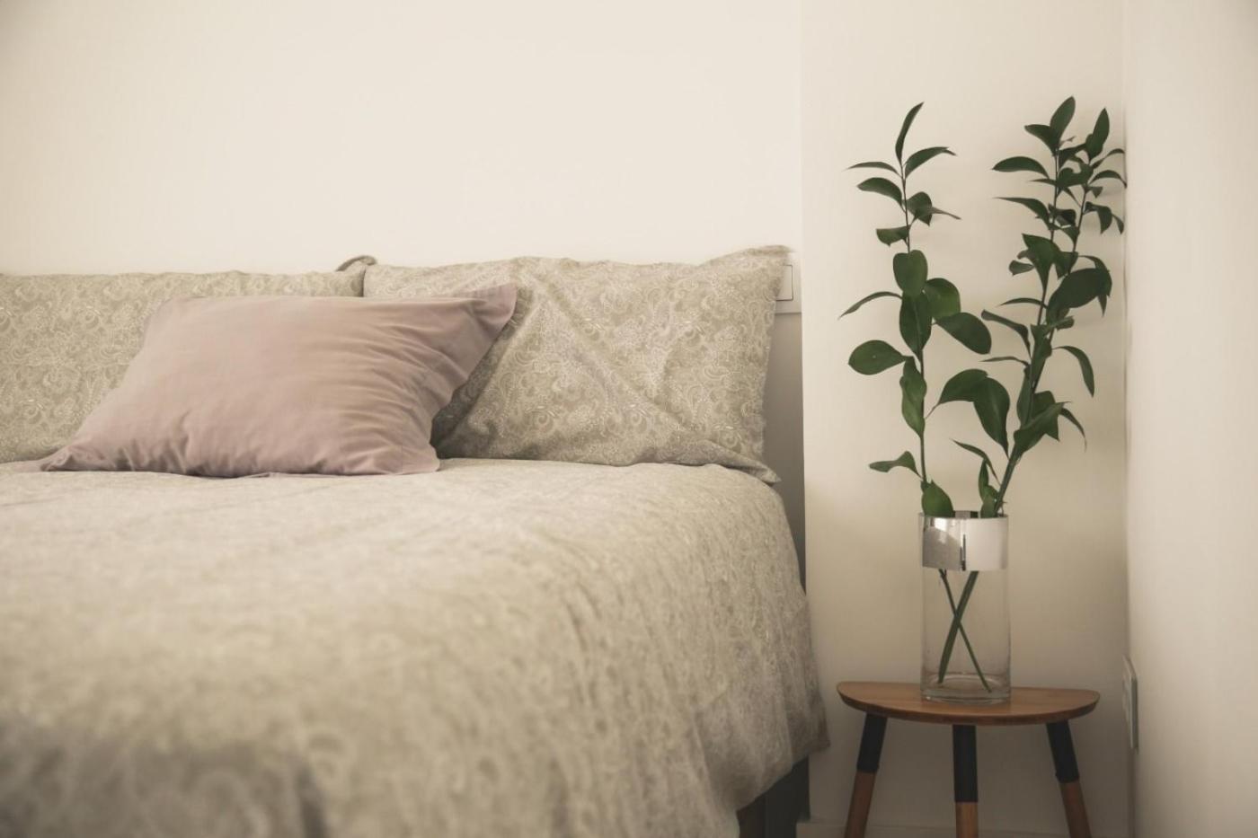 Romantico Apartamento En El Centro Сантандер Экстерьер фото